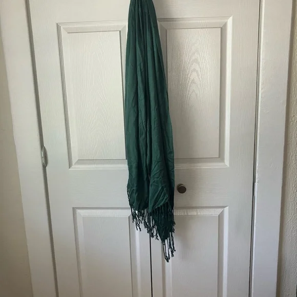 Dark Green 100% Cashmere Pashmina Scarf w/Fringe NEW - Picture 6 of 12